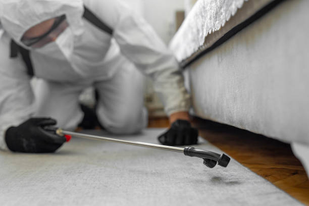 Professional Bed Bug Control technician working in Metuchen, NJ