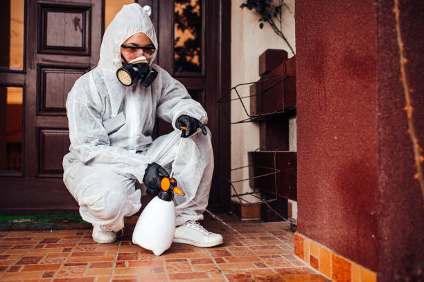 Reliable Bed Bug Control contractor in Metuchen, NJ by Nex Pest Control